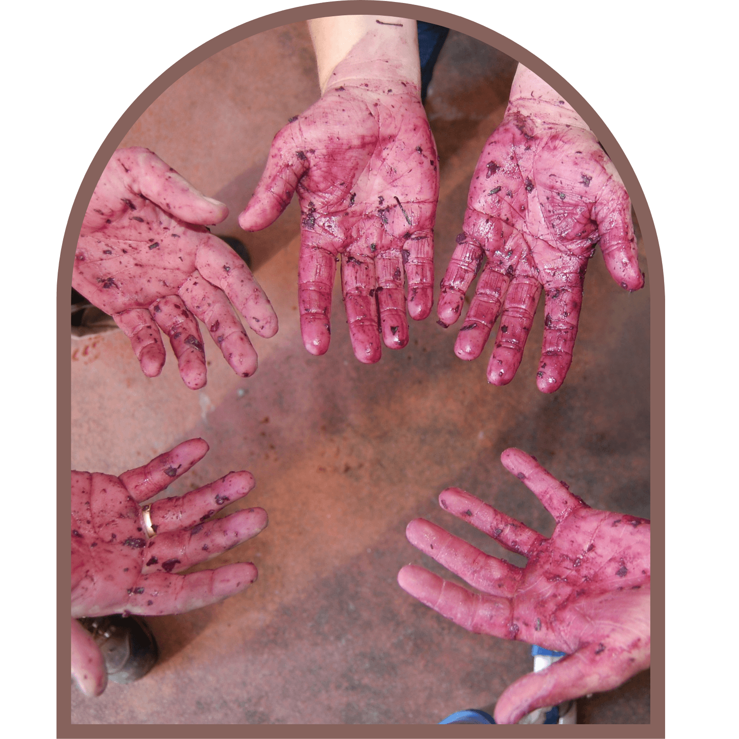 Repas partagé au domaine